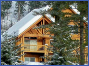 Mountain Vacation Cabin for rent by owner, Winter View